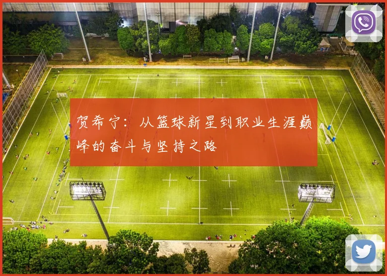 贺希宁：从篮球新星到职业生涯巅峰的奋斗与坚持之路