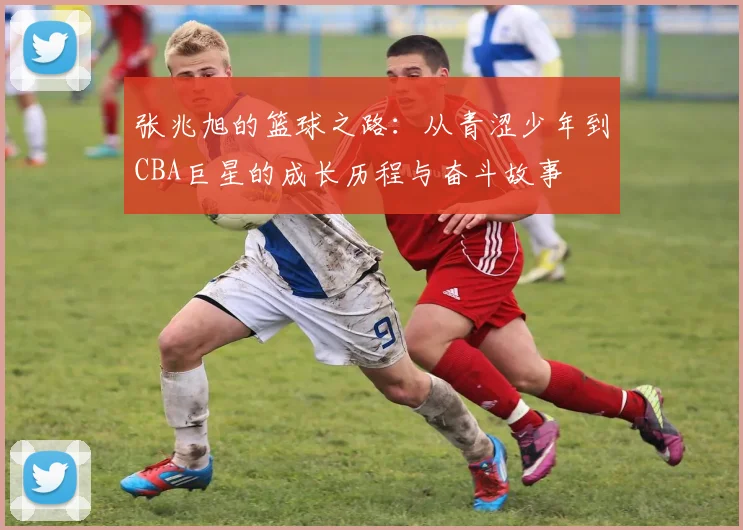 张兆旭的篮球之路：从青涩少年到CBA巨星的成长历程与奋斗故事