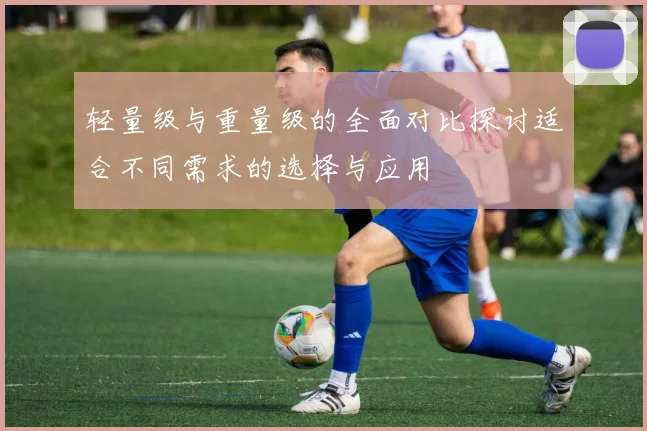 轻量级与重量级的全面对比探讨适合不同需求的选择与应用